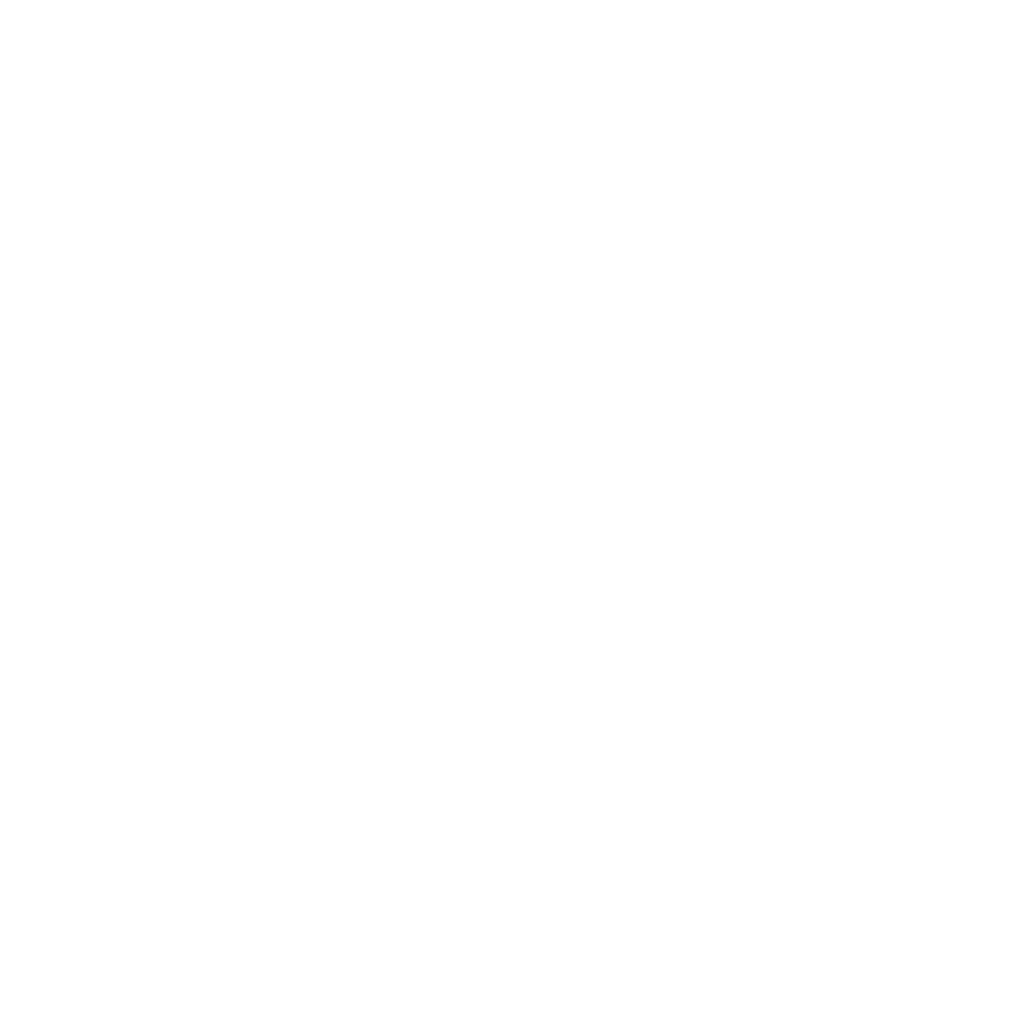 feature-item-4