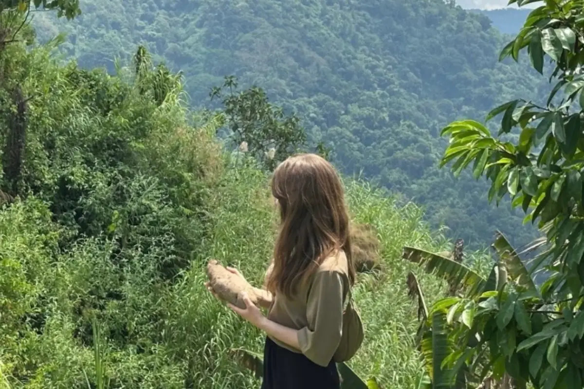 fondatrice de Araw tenant une racine d’ube dans les montagnes des Philippines Image