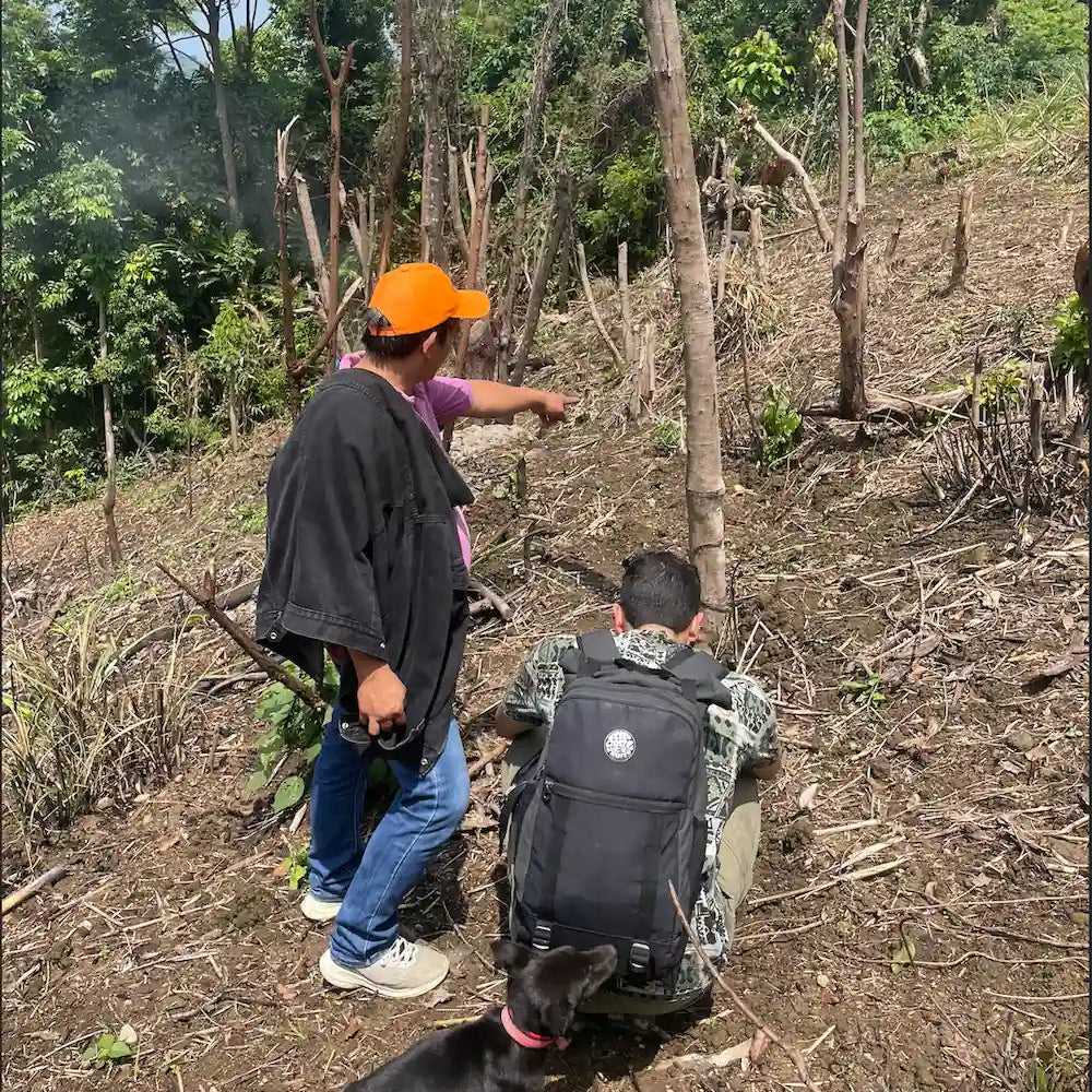 agriculteur araw ube Image